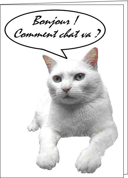 slt